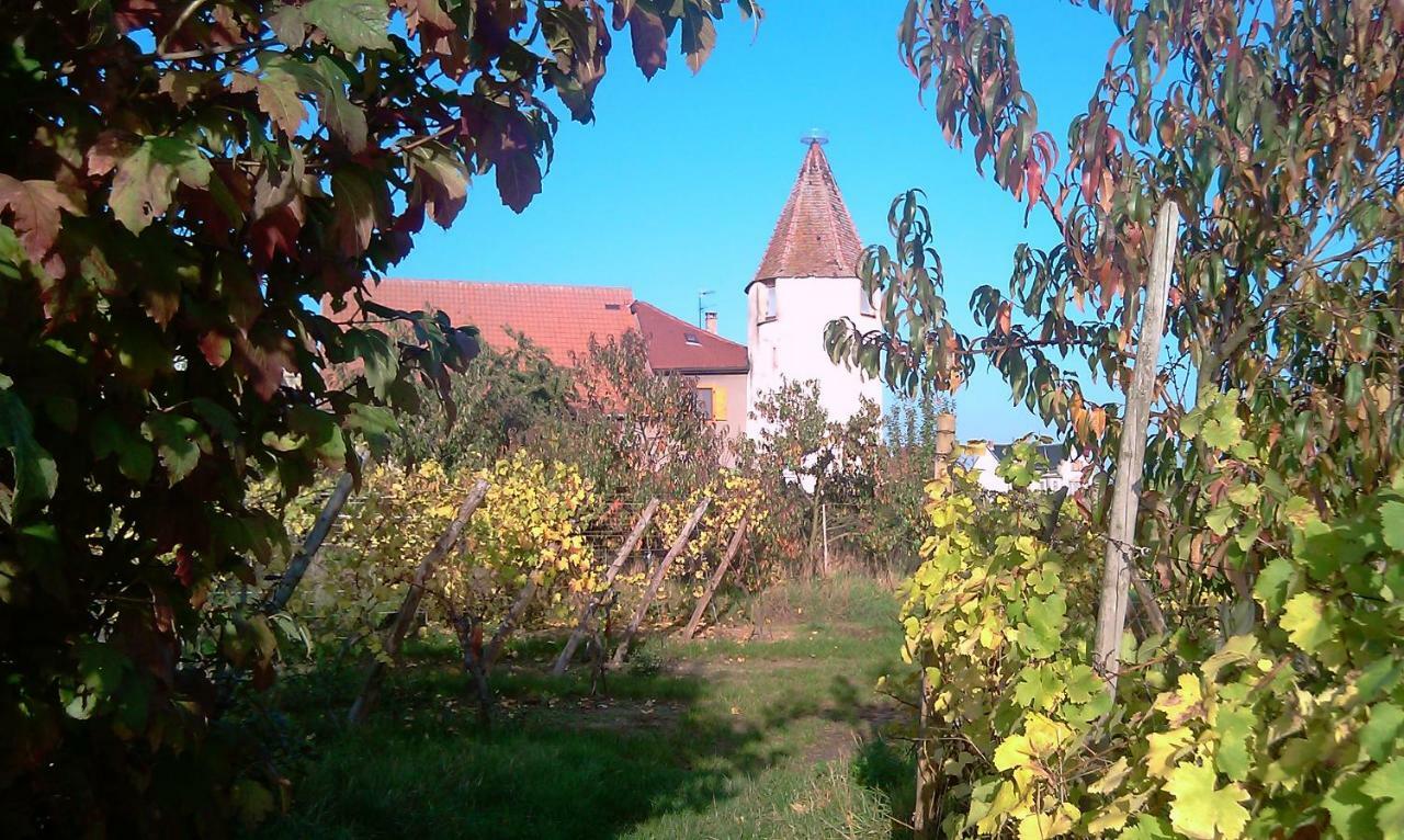 Les Gites De La Tour, Appartement "La Plaine" Saint-Hippolyte  Dış mekan fotoğraf