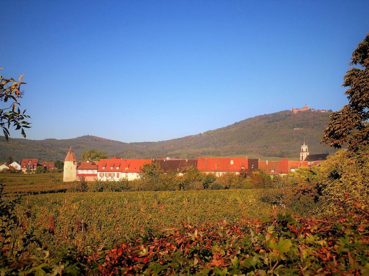 Les Gites De La Tour, Appartement "La Plaine" Saint-Hippolyte  Dış mekan fotoğraf