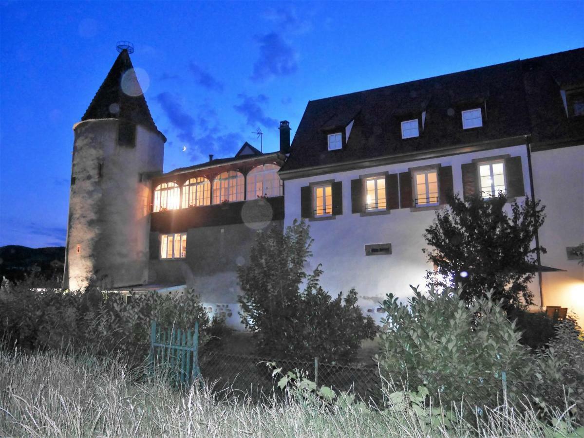 Les Gites De La Tour, Appartement "La Plaine" Saint-Hippolyte  Dış mekan fotoğraf